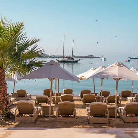 Hotell Inone Mucho Selection Gümbet