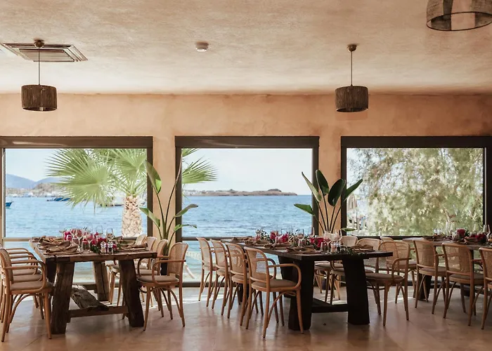 Inone Mucho Selection