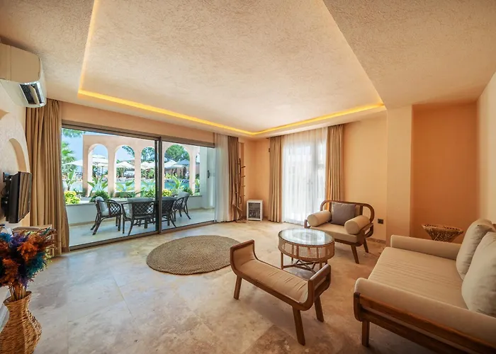 Inone Mucho Selection