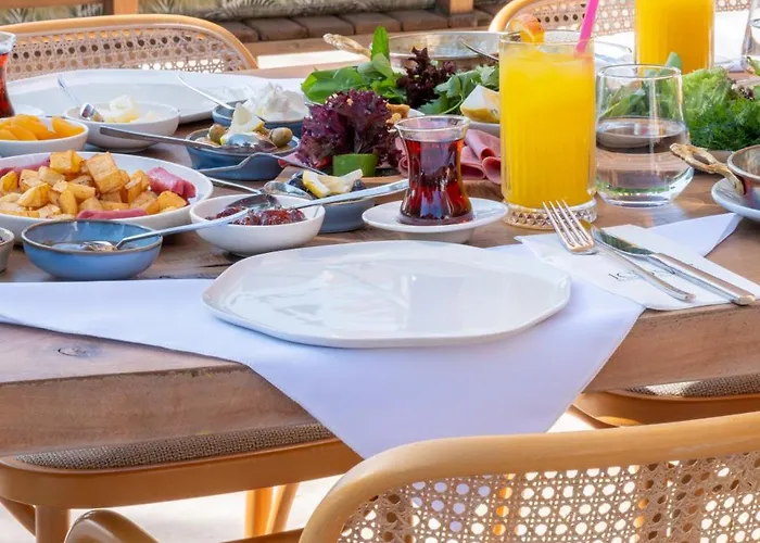 Inone Mucho Selection